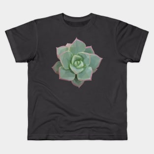 Low Poly Green and Pink Succulent Kids T-Shirt